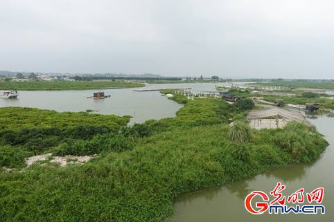 【新时代·幸福美丽新边疆】“蚝”生活红火“海丝”文化飘香，阳江这座小城凭啥让人印象深刻