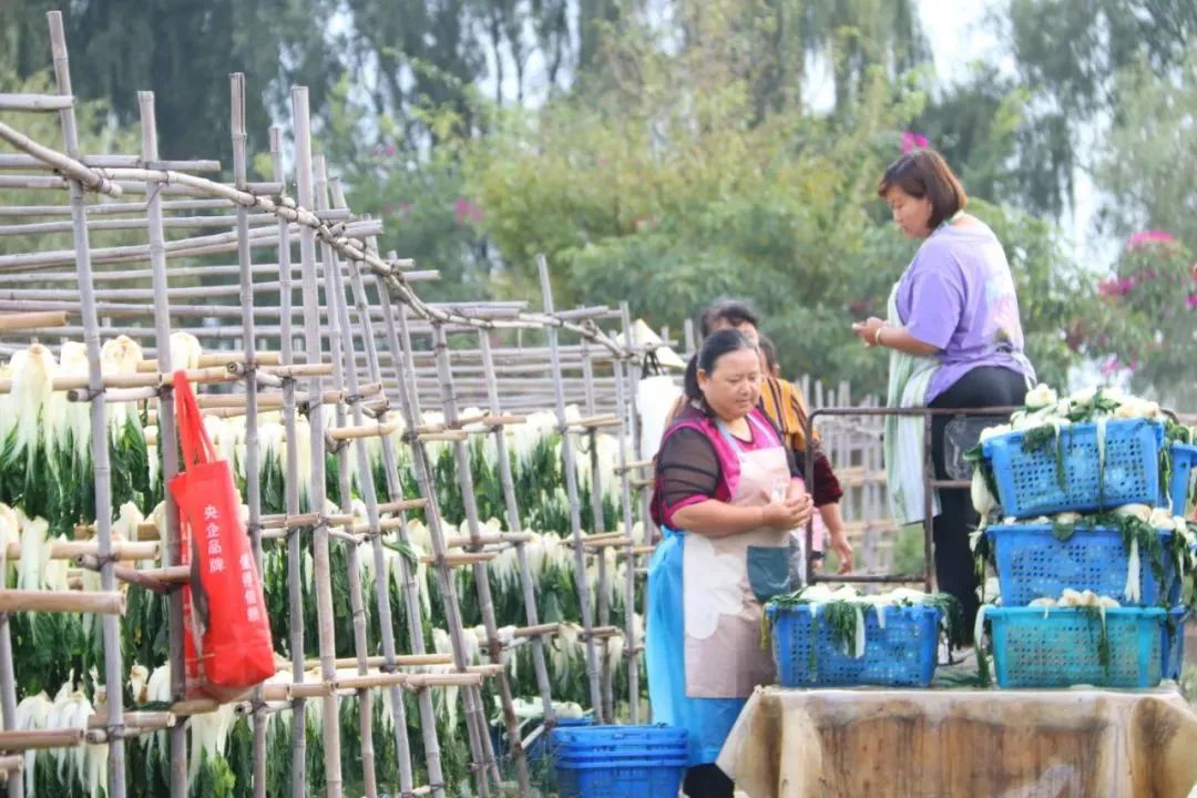 蔬菜水果种植致富经验_致富蔬菜水果种植经验总结_蔬菜水果种植技术