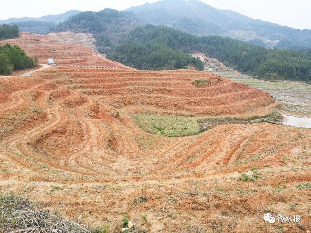 山村果园种植致富_致富山村种植果园怎么样_山区农村致富