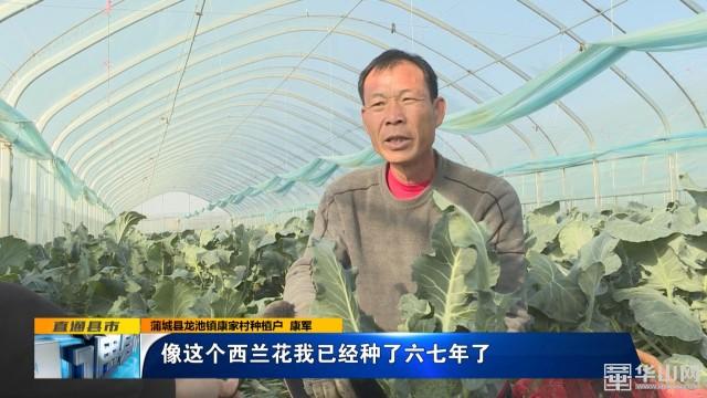 种养致富_温室种植致富稿件_致富经大棚种植致富经2020