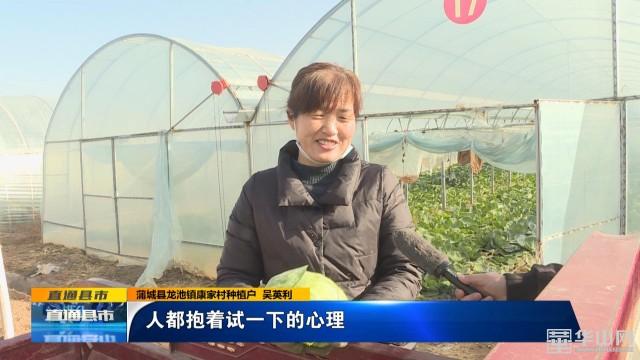 温室种植致富稿件_种养致富_致富经大棚种植致富经2020