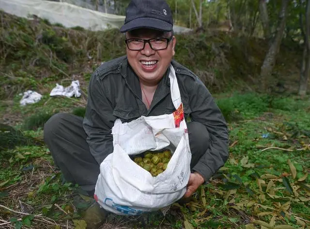 核桃种植示范园简介_核桃种植致富公示_核桃种植专业合作社基本情况