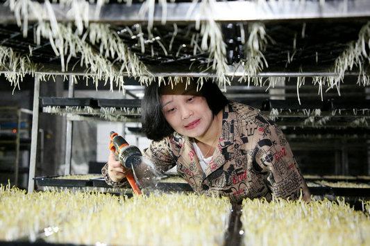 致富种植豆芽视频_种植豆芽的利润_种植豆芽致富