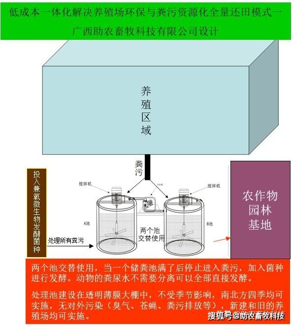 甘肃黑猪养殖致富_庆阳黑猪养殖_甘肃本地黑猪