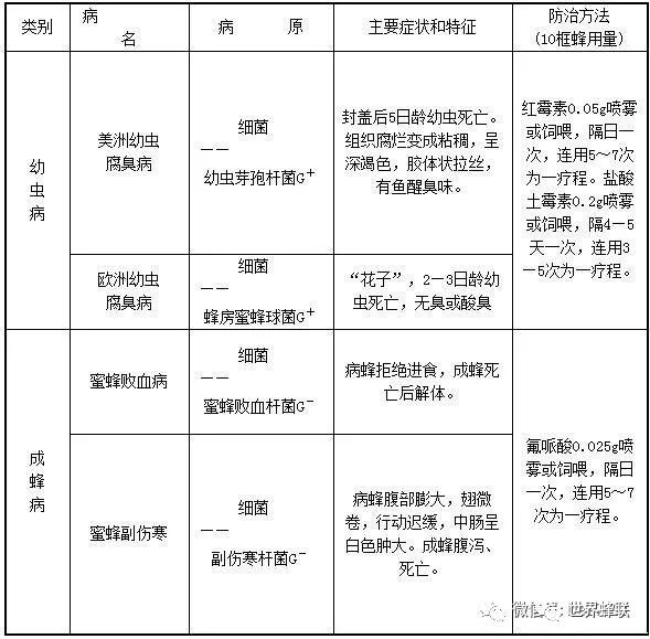 致富经蜜蜂养殖技术_蜜蜂养殖视频致富经_蜜蜂致富养殖技术有哪些