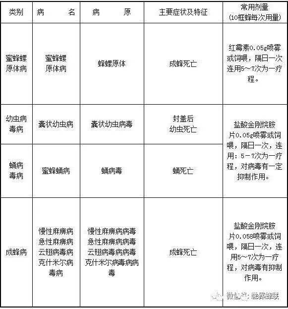 蜜蜂致富养殖技术有哪些_蜜蜂养殖视频致富经_致富经蜜蜂养殖技术