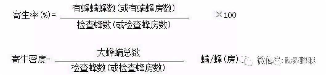 蜜蜂致富养殖技术有哪些_致富经蜜蜂养殖技术_蜜蜂养殖视频致富经