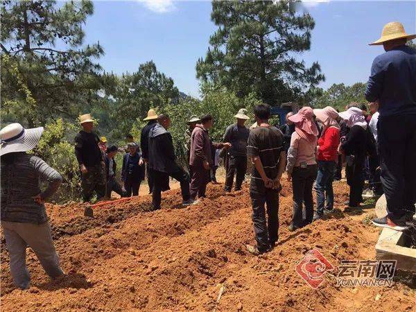 大云种植助力农民增收致富_种植大户带动农民致富_云南农业种植大户补贴政策