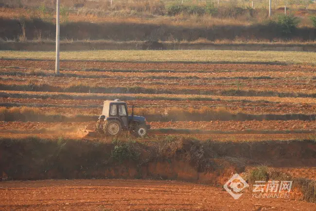 种植大户带动农民致富_大云种植助力农民增收致富_云南农业种植大户补贴政策