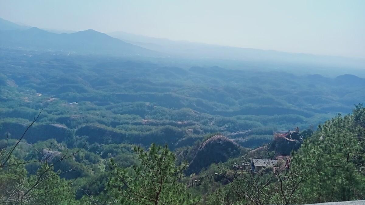 致富经岳阳黄鳝养殖_湖南养殖黄鳝大户_今天岳阳黄鳝批发多少钱一斤