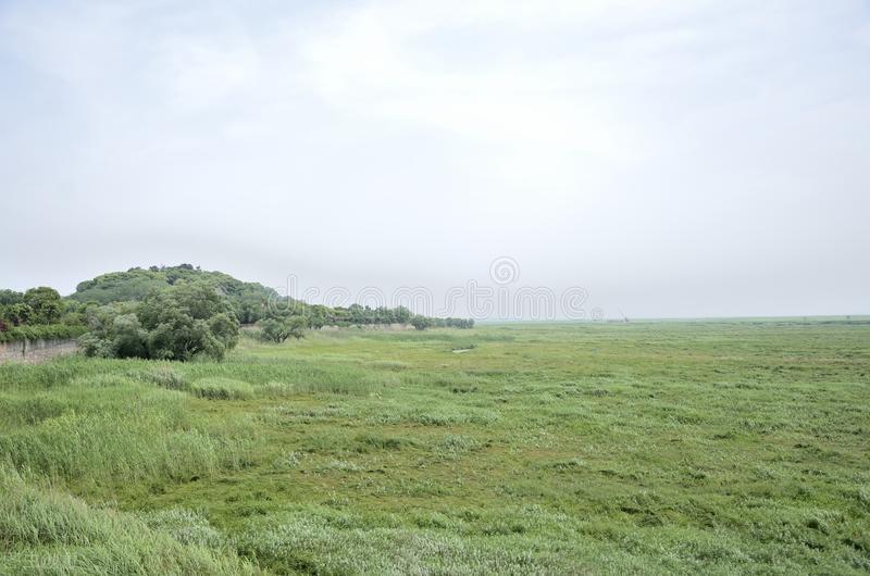 致富经岳阳黄鳝养殖_今天岳阳黄鳝批发多少钱一斤_湖南养殖黄鳝大户