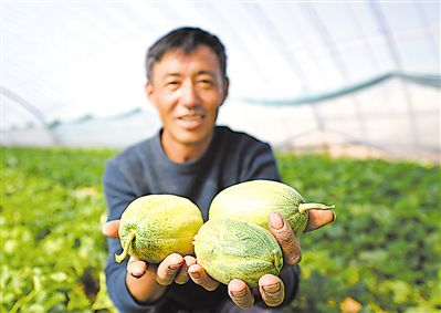 脱贫攻坚种植致富_脱贫致富_脱贫致富项目