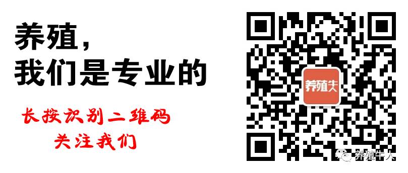 【在线观看】乌鸡养殖技术视频