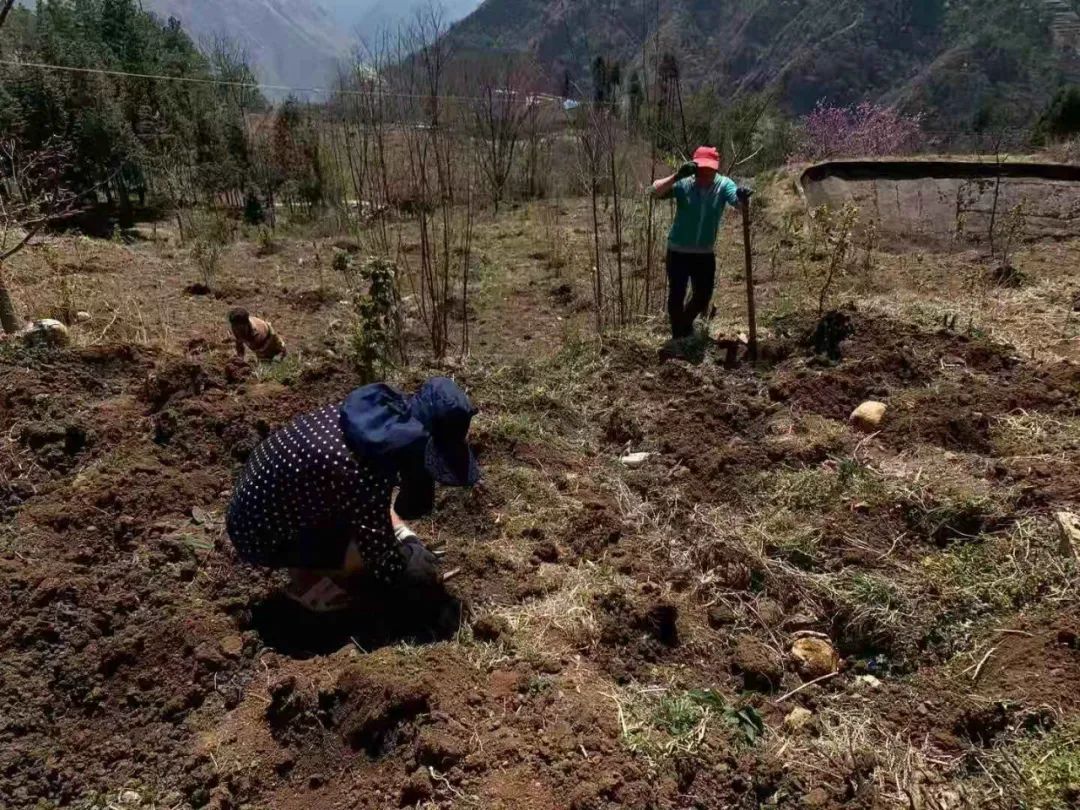 致富养殖女性故事大全_女性养殖致富故事_致富经女强人养羊视频