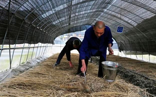 蚯蚓养殖技术和利润_养殖蚯蚓利润技术规范_养殖蚯蚓利润怎么样