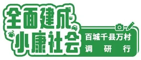 养殖西门塔尔肉牛技术_养西门塔尔肉牛挣钱吗_西门塔尔牛养殖利润