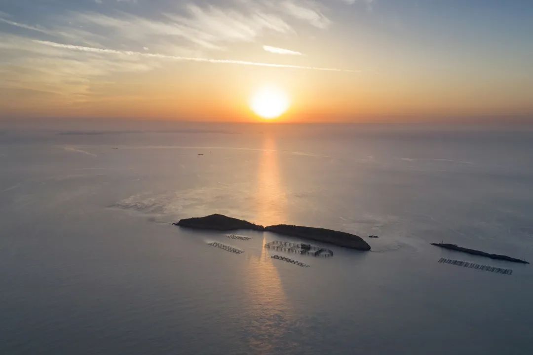 台州养殖基地_致富台州养殖项目有哪些_台州养殖致富项目