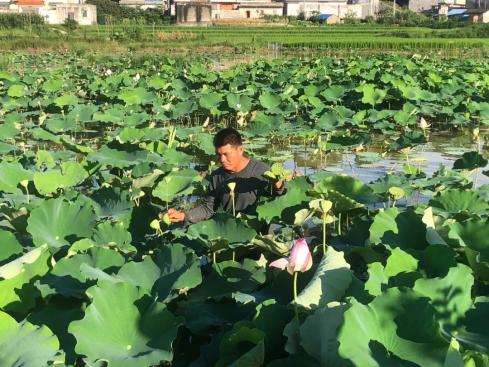 农民致富养殖业_致富农村养殖种植_耕田养殖致富