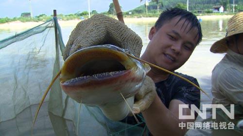 致富水箱养殖项目介绍_水箱养殖致富项目_致富水箱养殖项目怎么样