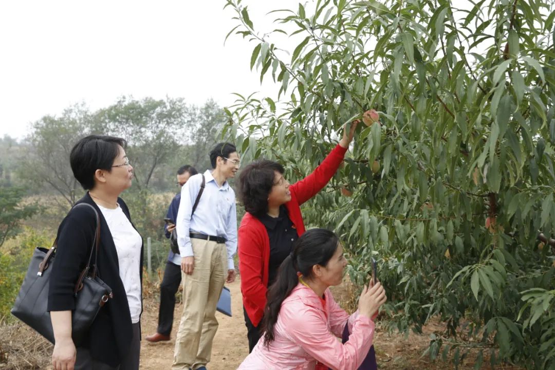 养殖蛋白虫致富人_致富经蛋白虫养殖技术_致富蛋白虫养殖