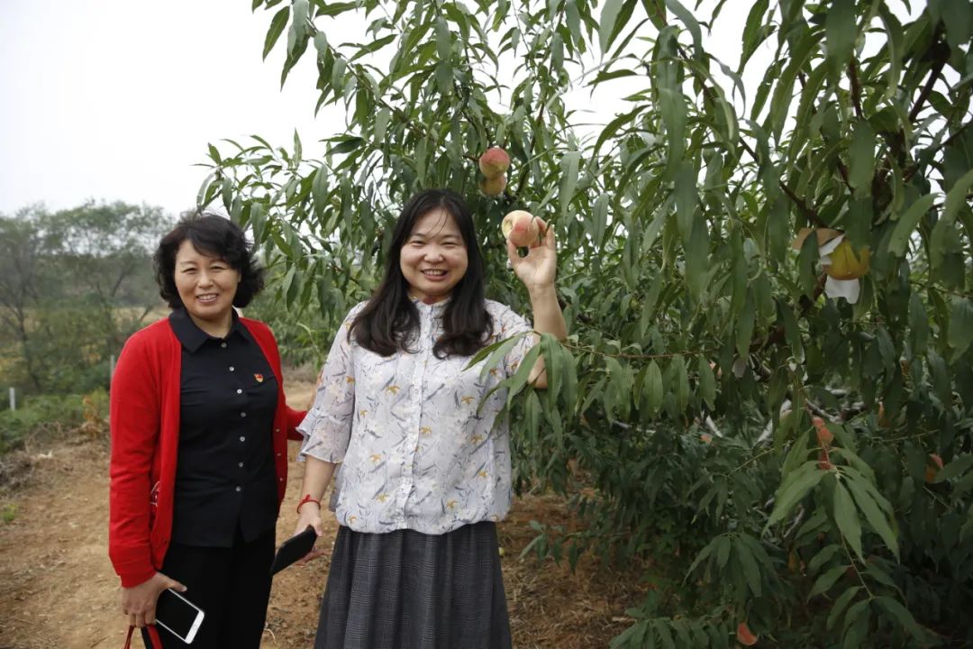 养殖蛋白虫致富人_致富经蛋白虫养殖技术_致富蛋白虫养殖