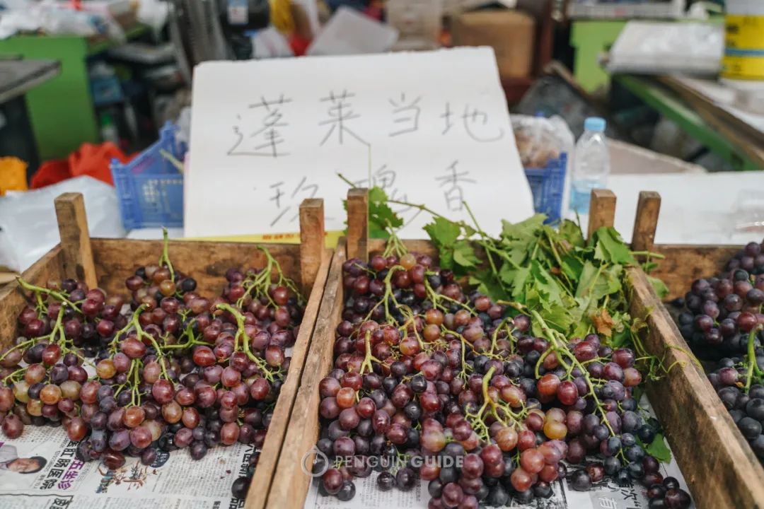 淡水养殖蛏子技术要点_蛏子淡水养殖技术_蛏子养殖技术水位