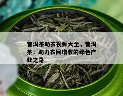 普洱茶助农视频大全，普洱茶：助力农民增收的绿色产业之路