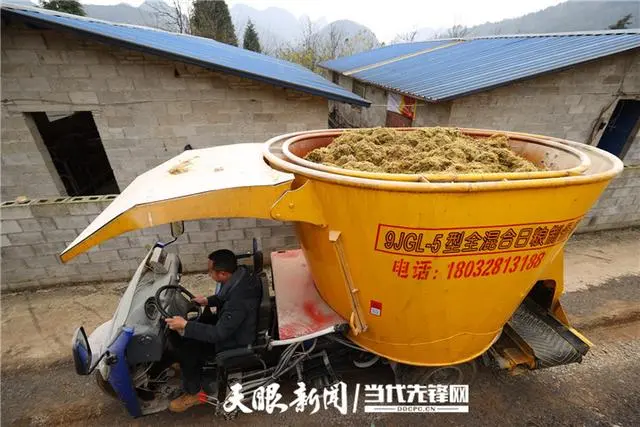 牛粪养什么最挣钱_如何用牛粪养猪视频_牛粪养殖致富视频