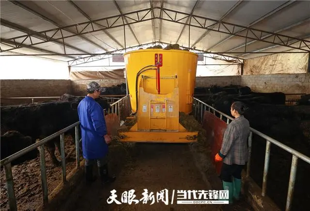 牛粪养什么最挣钱_如何用牛粪养猪视频_牛粪养殖致富视频