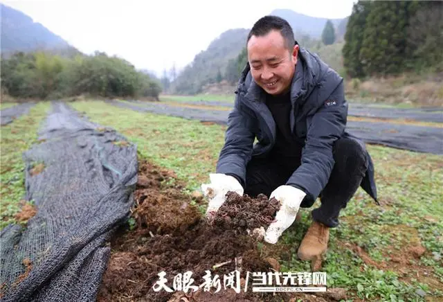 牛粪养什么最挣钱_如何用牛粪养猪视频_牛粪养殖致富视频