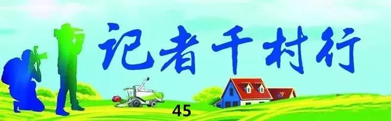 和政县三谷村：红树莓产业助农致富