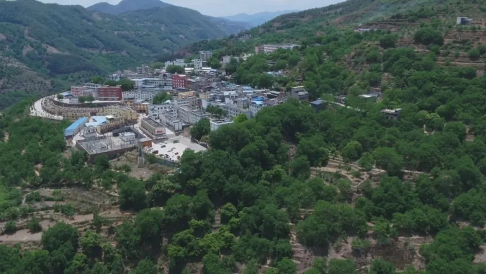 农村致富项目种植业_种植基地致富增收_农村致富新项目种植业