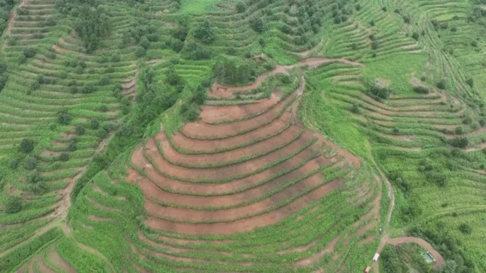 农村致富新项目种植业_农村致富项目种植业_种植基地致富增收