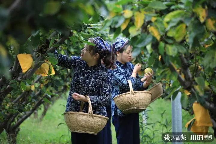 大米生意赚钱吗_致富经大米_大米赚钱