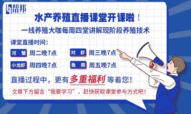 小龙虾养殖！他用这种新模式颠覆传统养殖模式，每亩多赚8000元