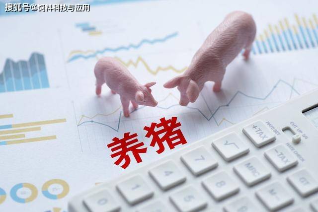 2023年哪种养猪模式更赚钱？母猪、育肥猪养猪利润分析！