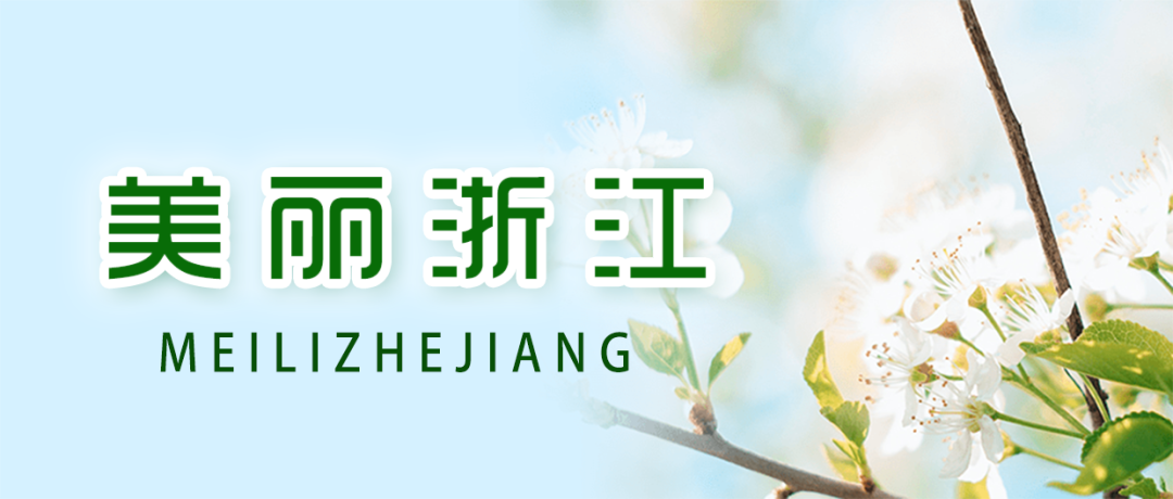 订单不断，销售额预计300万！疫情当下，这家“宁海白”枇杷如何逆袭上市？