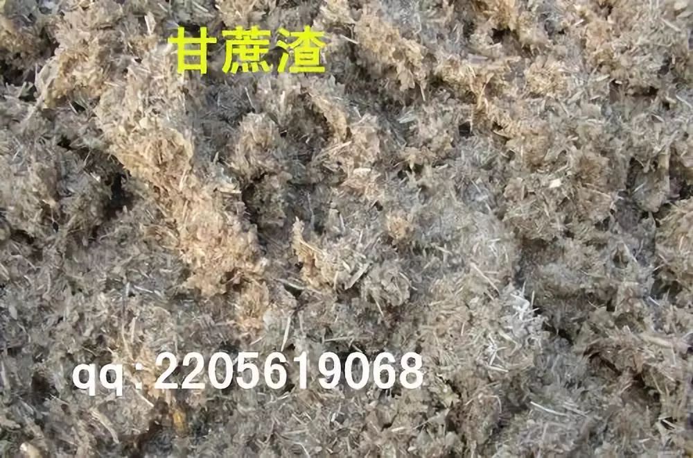 北天麻的种植技术_天麻种植方案_天麻种植技术方法视频