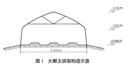 野鸡养殖技术和建棚_野鸡养殖技术和建棚_野鸡养殖技术和建棚