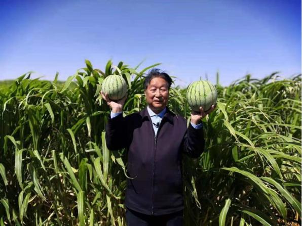 种植致富带头人_种植致富案例_种植致富人