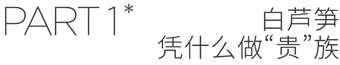 芦笋种植基地_致富种植芦笋地区在哪里_致富经芦笋种植地区