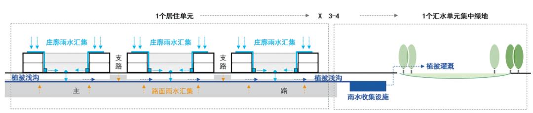 种植致富新项目_种植致富人_种植致富案例