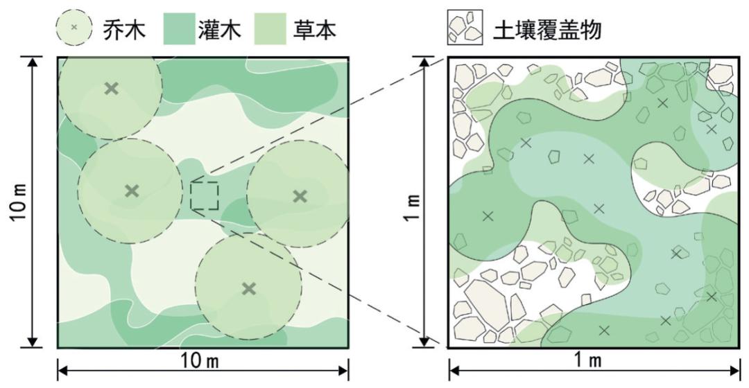 种植致富案例_种植致富新项目_种植致富人