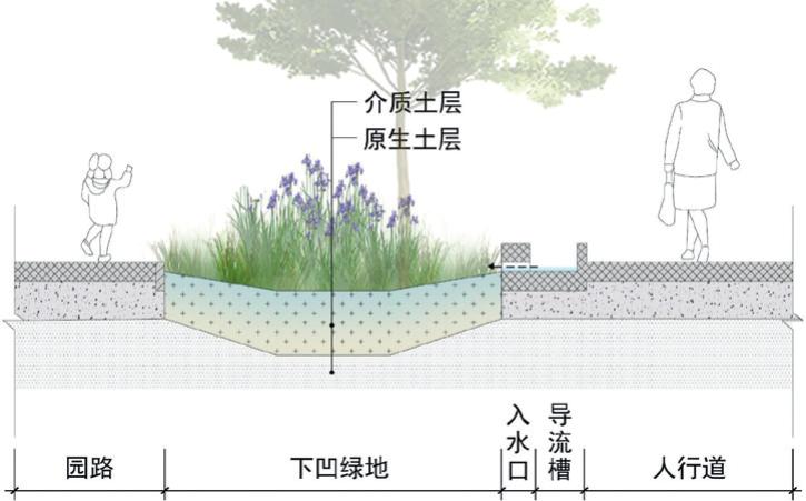 种植致富新项目_种植致富案例_种植致富人