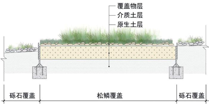 种植致富新项目_种植致富案例_种植致富人