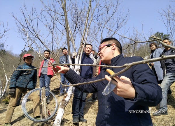 借鉴优质规划经验_以规划引领高质量发展_以规划引领