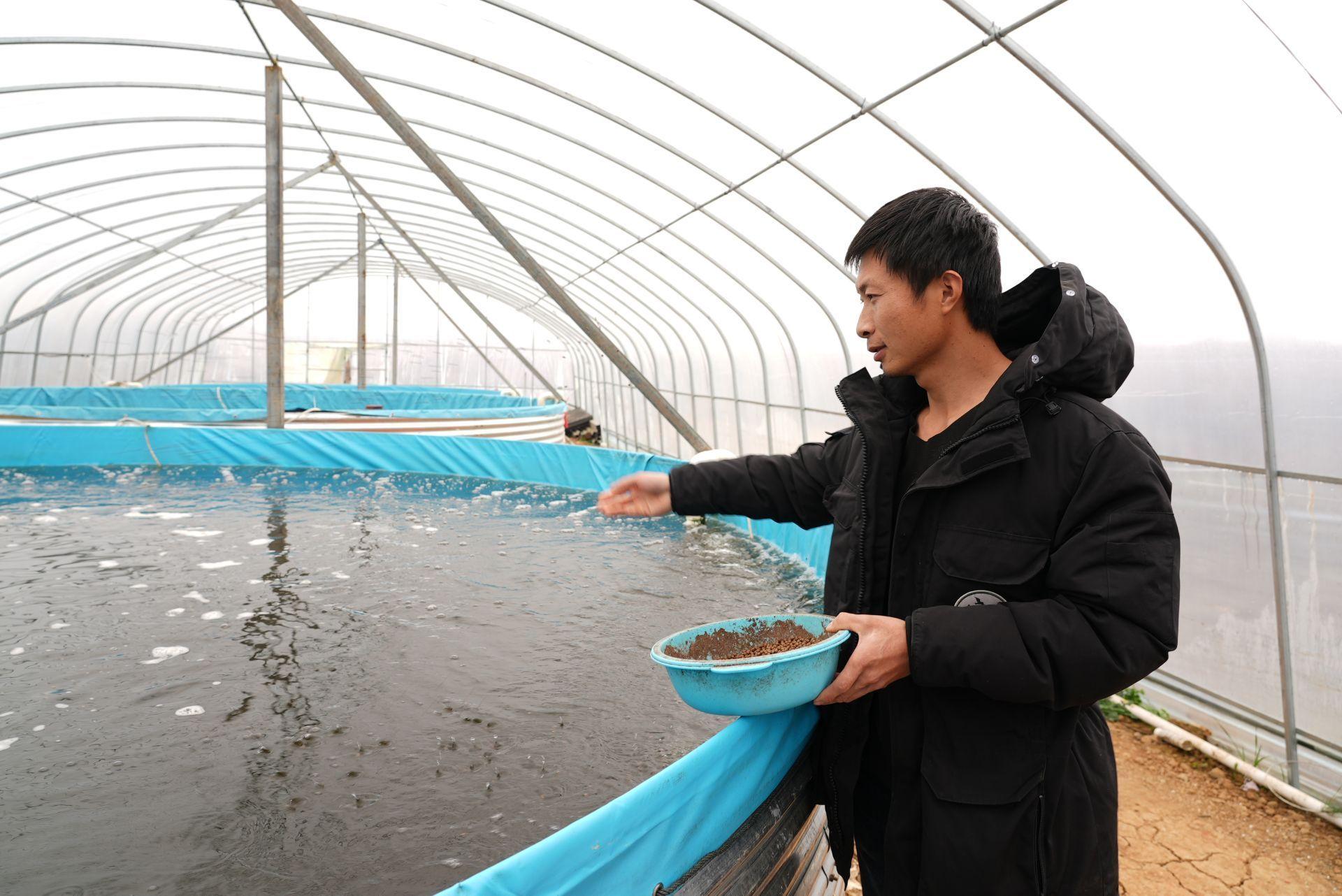 致富经流水养鱼_致富经流水养鱼的建造_致富经养流水鱼视频