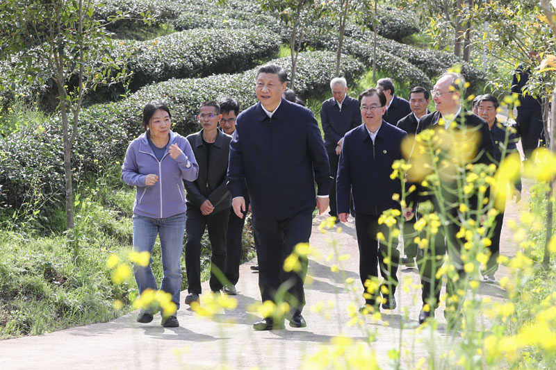 以规划引领_借鉴优质规划经验怎么写_借鉴优质规划经验