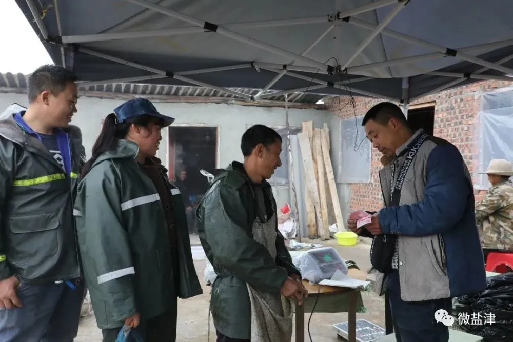 致富竹子种植图片大全_致富竹子种植图片欣赏_竹子种植致富图片