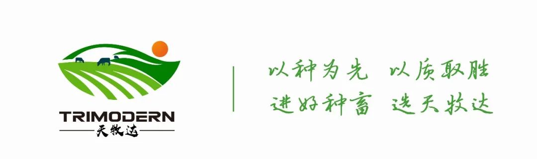 广西山羊养殖技术_山羊养殖项目实施方案_广西山羊养殖场